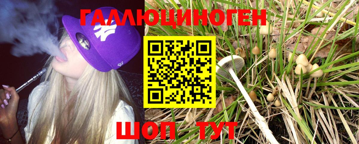 Галлюциногенные грибы Magic Shrooms  Вход с VPN  Казань  Галлюциногенные грибы MAGIC MUSHROOMS 