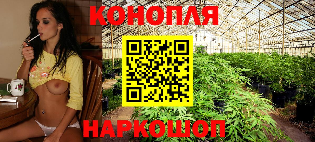 Шишки марихуана MAZAR  Вход с VPN  Казань  Каннабис планчик  Бошки Шишки тримм 